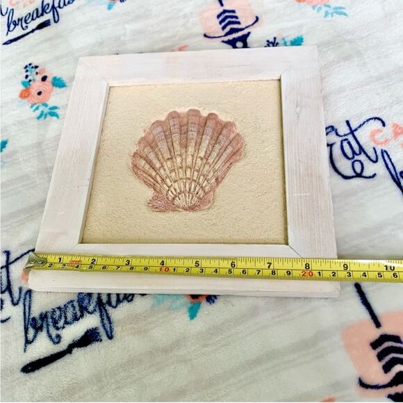 3D Wall Hanging Nautical Coastal Seashell Framed Home Decor Display - Picture 4 of 6
